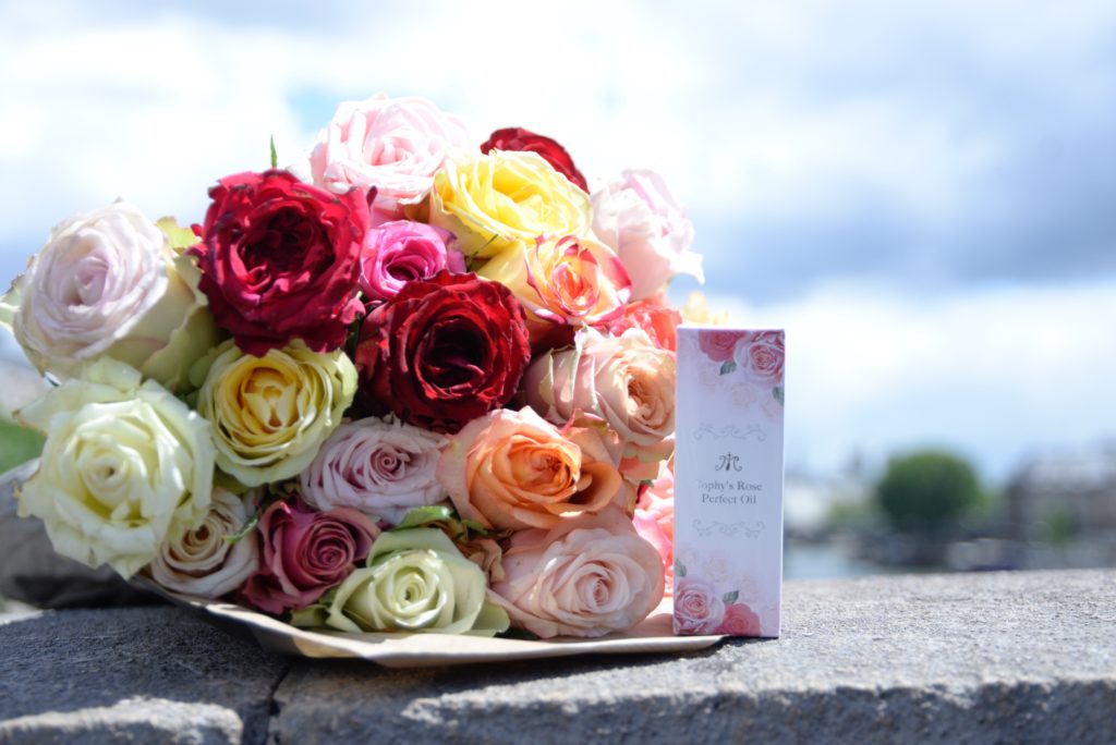 ソフィーズローズ